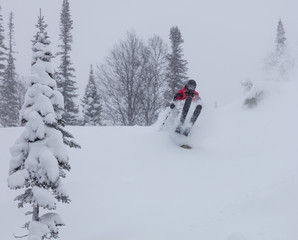 Freerider is buried in fresh snow, turning and jumping between the trees. freeride skiing in deep...