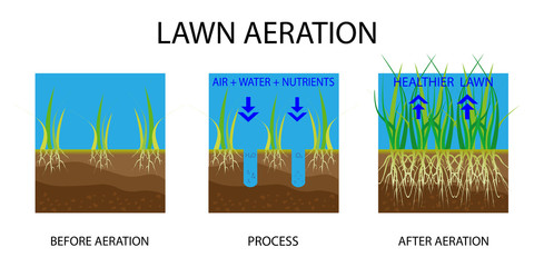 Lawn aeration. Process of aeration before and after, lawn grass care service, gardening and landscape design. Gardening grass lawn care, landscaping service. Vector