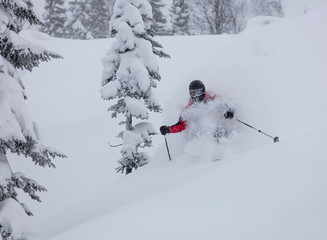 Freerider is buried in fresh snow, turning and jumping between the trees. freeride skiing in deep powder snow. Chest deep snow during snow storm. Good powder day. Funny skiing, rides over off-piste