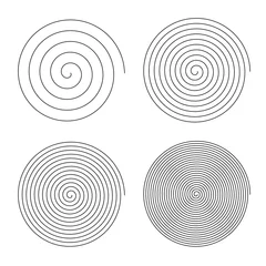 Fotobehang Set of line in circle form. Isolated thin line spiral goes to edge of canvas. Vector illustration © mahanya342