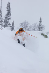 Freerider is buried in fresh snow, turning and jumping between the trees. freeride skiing in deep...