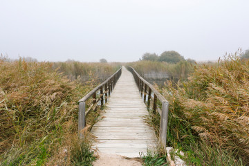 Fototapeta na wymiar pasarela de tablas de madera en parque natural con niebla
