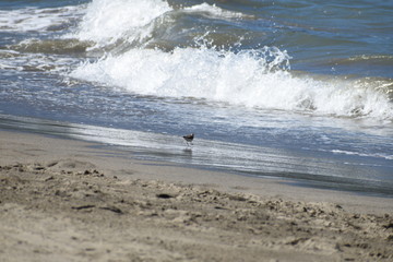 beach and sea