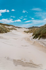 sand dunes on the beach 