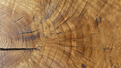 An interesting pattern of annual rings on the wood texture of an oak tree with cracks. Abstract...