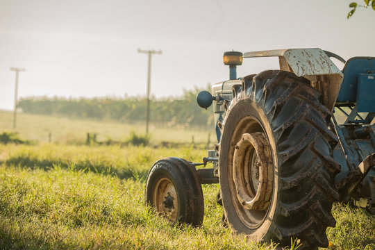 machine, tractor, farm, field, nature, agriculture, trator, campo, fazenda, agricultura