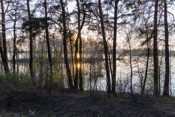 Naklejka na ściany i meble Sunset over the forest lake. The rays of the sun through the trees.