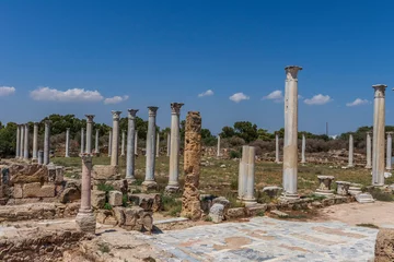 Foto op Canvas oude kolommen van salami-ruïnes, oude stad Noord-Cyprus en blauwe lucht © ANETA