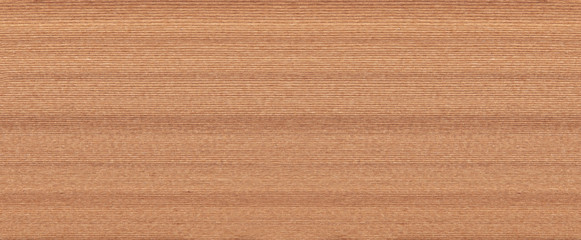 Teak board. Seamless teak wood texture.