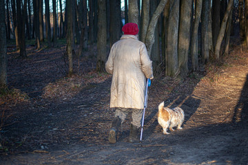 A woman is engaged in special walking with sticks.