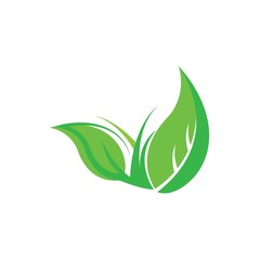 green leaf ecology nature vector icon
