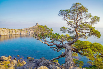 beautiful scenic mountain landscape with coniferous trees and sea views