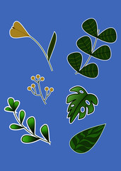 vector illustration of  leaves and plants
