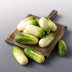 Young fresh little cucumbers on a wooden board on a gray background. Selective focus.
