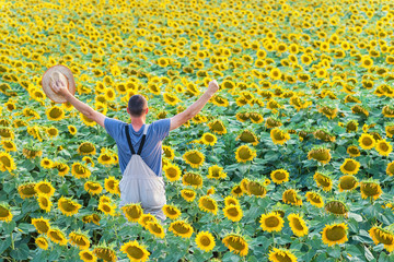 Rear view of satisfied farmer in a sunflowers field with a arms outstretched. Copy space