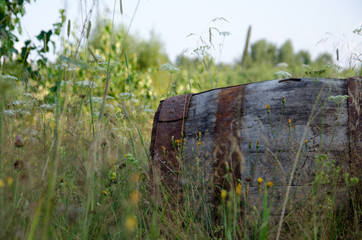 Obraz premium Old barrel in the grass