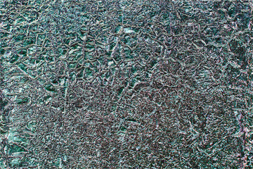 Swamp bog, tree roots. Emerald exclusive background.