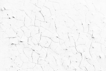White wall background.