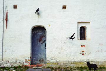
Black cat and black bird at the monastery wall