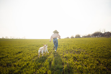 Obraz premium Cheerful labrador retriever dog runs and jumps for the stick in the field with its owner on a sunny spring day. Young playful dog being active on the green grass. Happy pet concept.