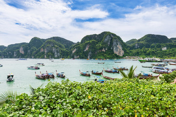 THAILAND, PHI PHI ISLAND. View from the hill on lagoon crowd of the boats