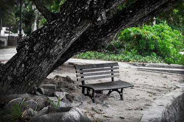 Fototapeta na wymiar a bench under the tree, a seat on the sand