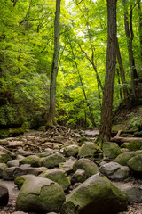 Obraz premium Hiking the sandstone canyons at Matthiessen State Park, Illinois.