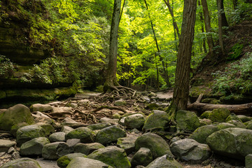 Fototapeta premium Hiking the sandstone canyons at Matthiessen State Park, Illinois.
