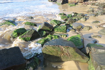 aerial view of the city