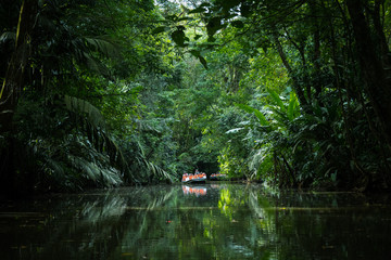 Fototapeta na wymiar kayaking in the forest