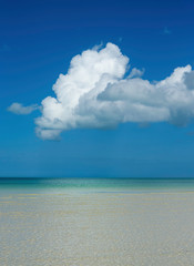 tropical beach with blue sky