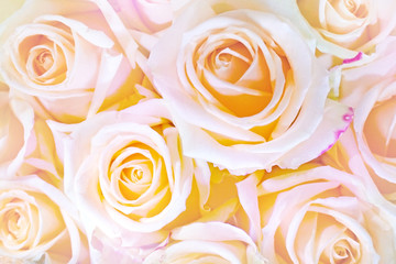 Fototapeta na wymiar Roses from a wedding bouquet