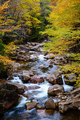Pemigewasset River in Fall