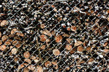 cut wood, tree behind a net, close up of an abstract background wood, tree, cut, timber, snow, stick, texture, net, stone, abstract, stones, rock, pebble, pattern, gravel, brown, drewno, zima, siatka © Kinga