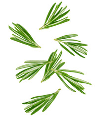 Falling rosemary isolated on white background, clipping path, full depth of field