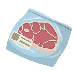 Packaging of frozen red meat. ham in bag. Cartoon flat illustration. Set of supermarket products. Cold object