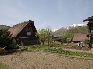 Fototapeta premium Aldea histórica de Shirakawago