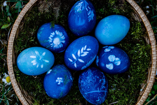 Ostereier blau gefärbt, Abdruck von Kräutern, Osterkörbchen