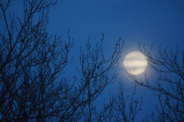 Supermoon pink full moon 8 April 2020 in France. It occurs when the full moon is at its closest...