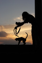 silhouette of cat and woman