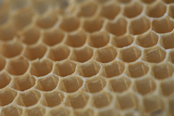 Honeycomb stored dry out for Chinese medicine 