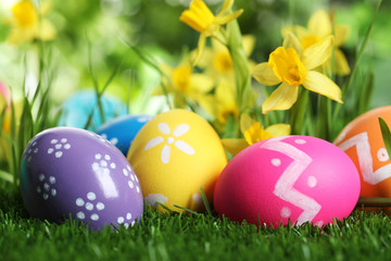 Fototapeta na wymiar Colorful Easter eggs and daffodil flowers in green grass, closeup