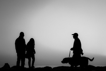 silhouette of people