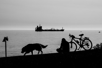 silhouette of dog and bicycle on the beach