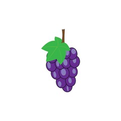 grape logo vector design