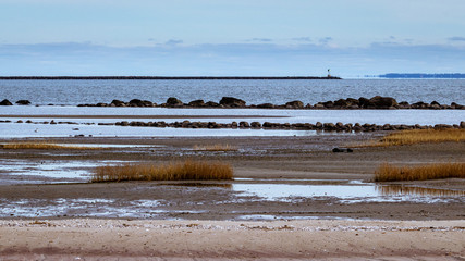 dead sea coast