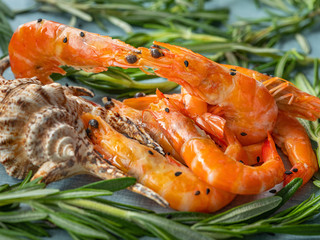 closeup view to grilled prawns in herbs and seashell