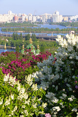 Picturesque view of Vydubychi Monastery and Dnipro river with pink and white lilac blossoming in botanical garden in Kyiv city, Ukraine. Spring view of the city