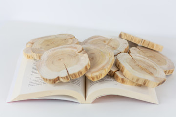 Open book with wooden coins on top of it, white background