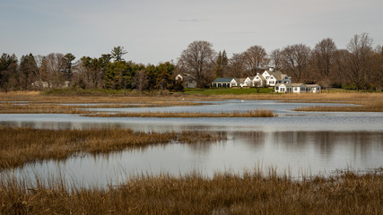 winter landscape with lake